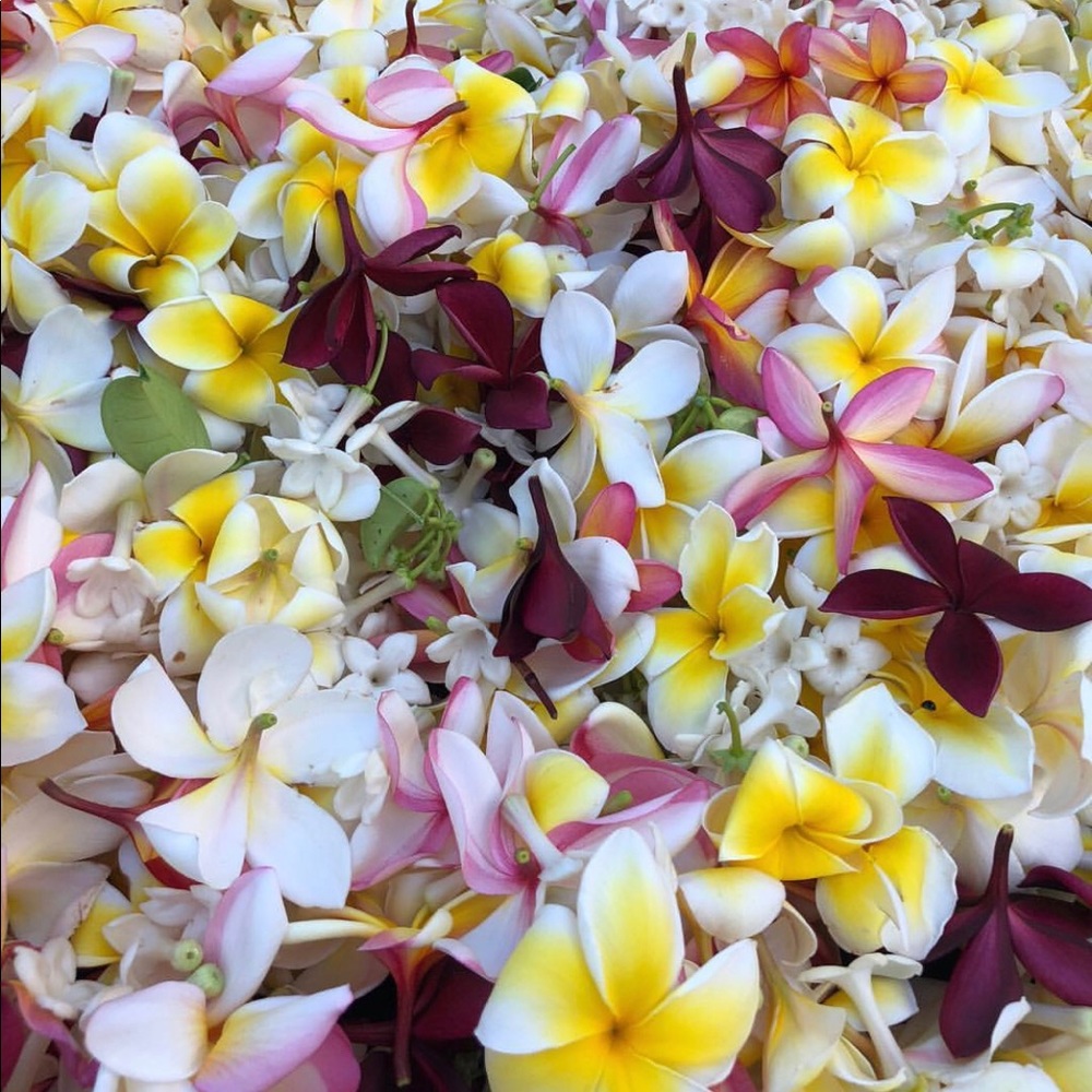 Meet your Posher, Lilah